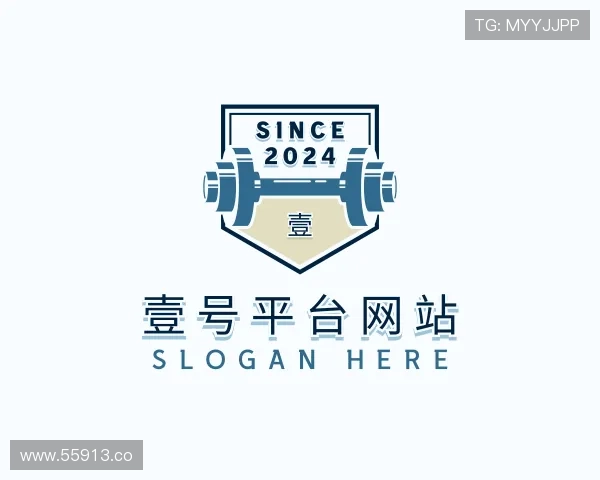 导引壹号平台网站